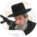 Rav Dov Landau
